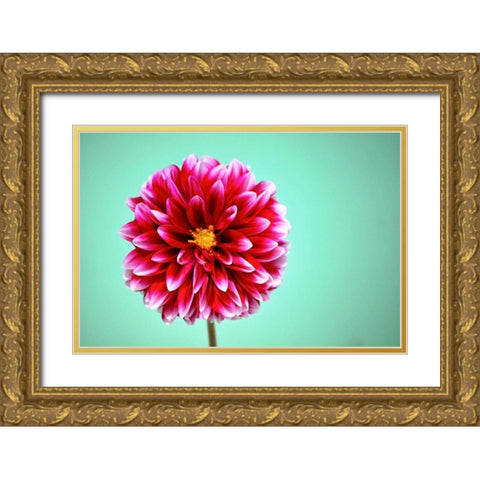 Zenia Gold Ornate Wood Framed Art Print with Double Matting by Peck, Gail