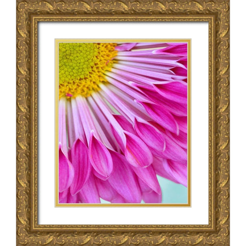 Fuschia Bloom Gold Ornate Wood Framed Art Print with Double Matting by Peck, Gail