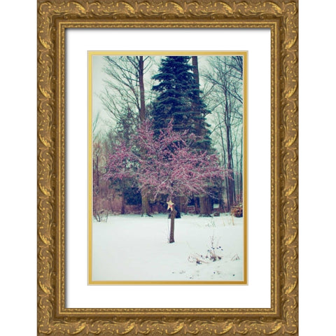 Winter Berries III Gold Ornate Wood Framed Art Print with Double Matting by Poynter, Kelly