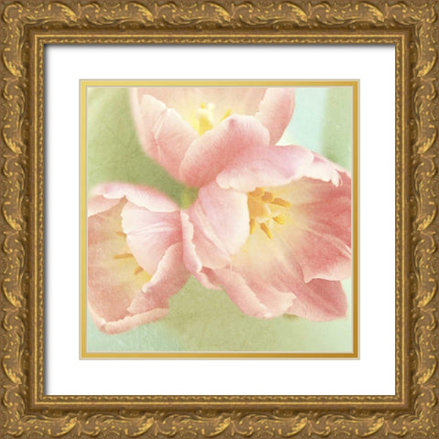 Resplendent Pink Blossoms Square Gold Ornate Wood Framed Art Print with Double Matting by Gardner, Sarah