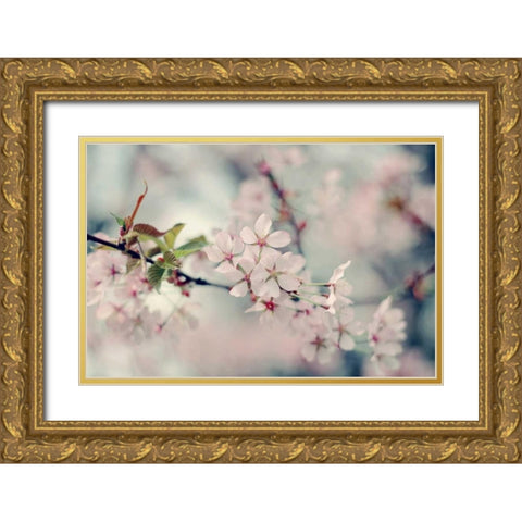 A Branch of Beauty Gold Ornate Wood Framed Art Print with Double Matting by Gardner, Sarah