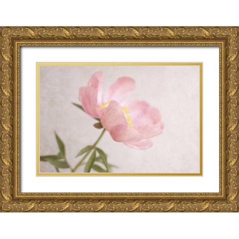 Soft Petals Gold Ornate Wood Framed Art Print with Double Matting by Gardner, Sarah