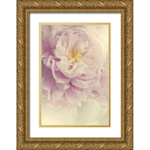 Angelic Petals Gold Ornate Wood Framed Art Print with Double Matting by Gardner, Sarah