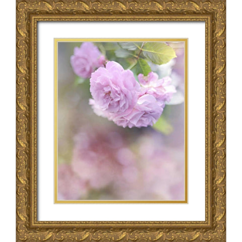 Graceful Floral Gold Ornate Wood Framed Art Print with Double Matting by Gardner, Sarah