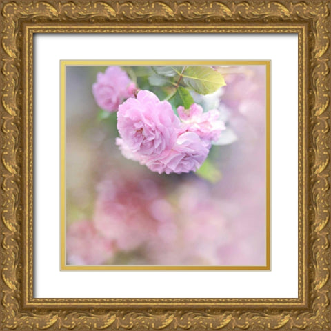 Graceful Floral Gold Ornate Wood Framed Art Print with Double Matting by Gardner, Sarah