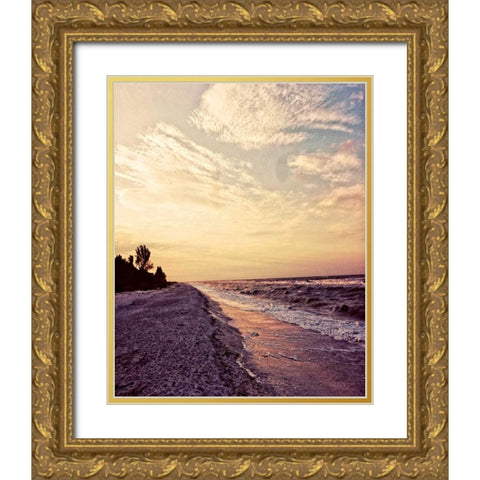 Crashing Waves Gold Ornate Wood Framed Art Print with Double Matting by Peck, Gail