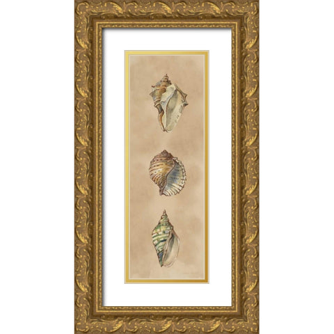 Seashells Panel II Gold Ornate Wood Framed Art Print with Double Matting by Loreth, Lanie