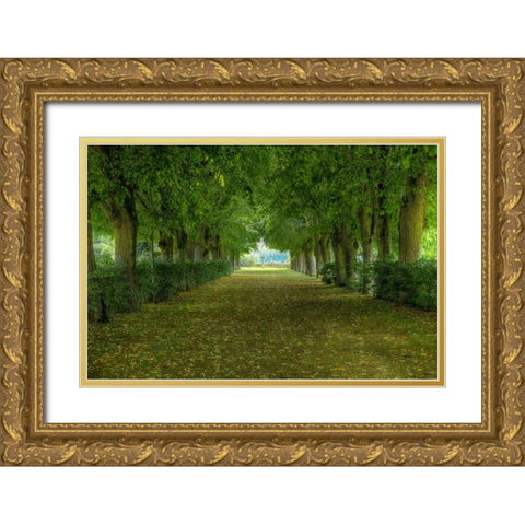 French Gardens Gold Ornate Wood Framed Art Print with Double Matting by Lake, Shelley