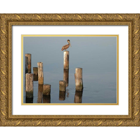 Pelican I Gold Ornate Wood Framed Art Print with Double Matting by Nawrocke, Bruce