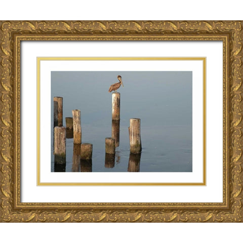 Pelican I Gold Ornate Wood Framed Art Print with Double Matting by Nawrocke, Bruce
