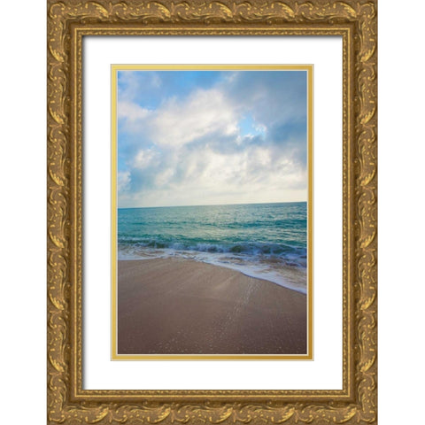 Cool Beach II Gold Ornate Wood Framed Art Print with Double Matting by Bryant, Susan