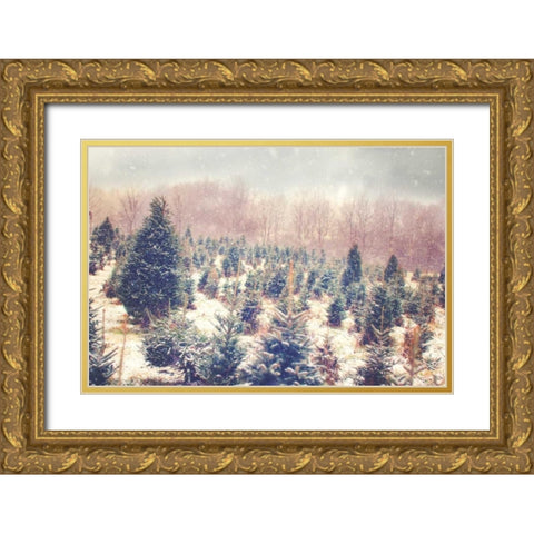 Natures Beauty Gold Ornate Wood Framed Art Print with Double Matting by Poynter, Kelly