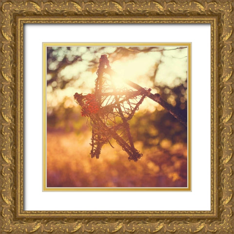 Morning Star Gold Ornate Wood Framed Art Print with Double Matting by Poynter, Kelly