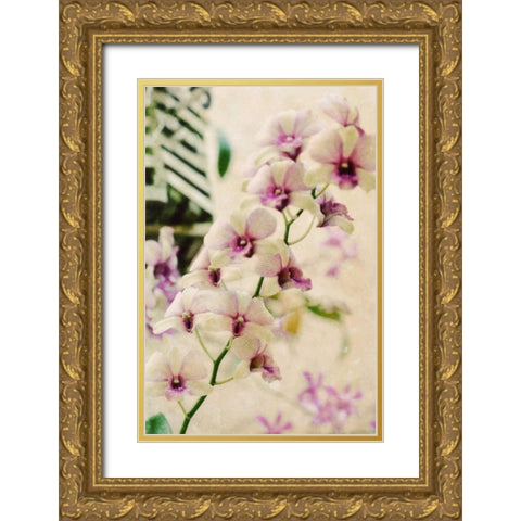Filter Flowers I Gold Ornate Wood Framed Art Print with Double Matting by Peck, Gail