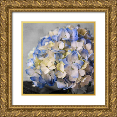 Hydrangeas I Gold Ornate Wood Framed Art Print with Double Matting by Bryant, Susan