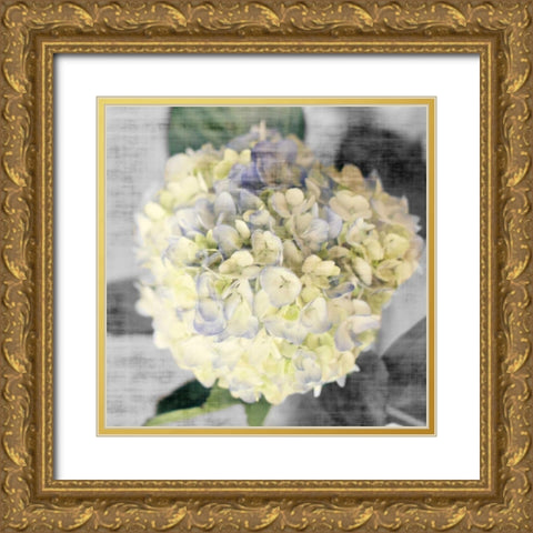 White Hydrangeas II Gold Ornate Wood Framed Art Print with Double Matting by Bryant, Susan