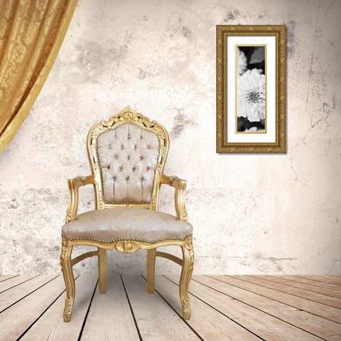 White Bloom II Gold Ornate Wood Framed Art Print with Double Matting by Bryant, Susan