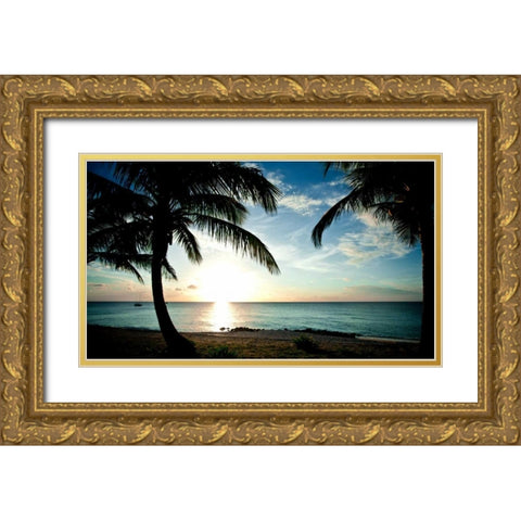 Sun Downer Gold Ornate Wood Framed Art Print with Double Matting by Bryant, Susan