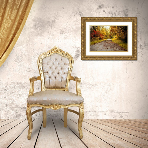 Quiet Autumn Path Gold Ornate Wood Framed Art Print with Double Matting by Poynter, Kelly