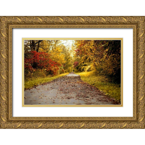 Quiet Autumn Path Gold Ornate Wood Framed Art Print with Double Matting by Poynter, Kelly