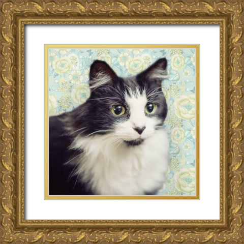 Cat on Paisley Gold Ornate Wood Framed Art Print with Double Matting by Metz, Andi