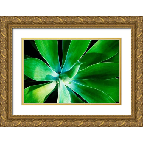 Green Intrigue Gold Ornate Wood Framed Art Print with Double Matting by Nawrocke, Bruce