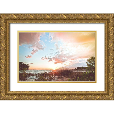 Sunset Gold Ornate Wood Framed Art Print with Double Matting by Nawrocke, Bruce