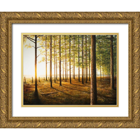 Sunrise In The Woods Gold Ornate Wood Framed Art Print with Double Matting by Nawrocke, Bruce