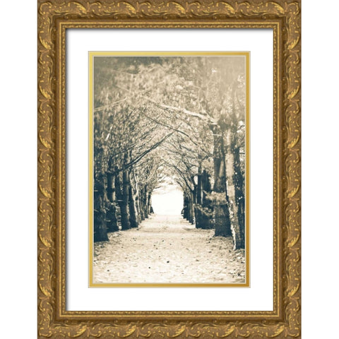 Woods Gold Ornate Wood Framed Art Print with Double Matting by Poynter, Kelly