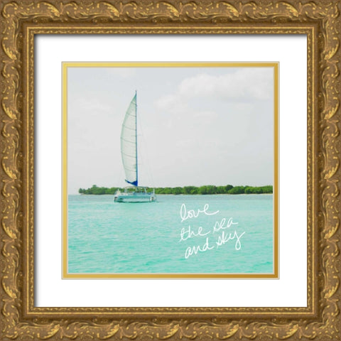 Sailing Along The Island II Gold Ornate Wood Framed Art Print with Double Matting by Acosta