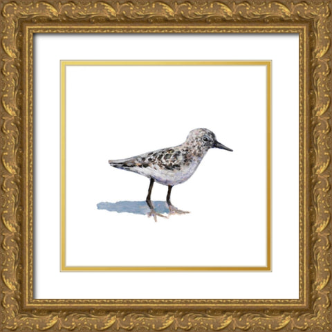 Sandpiper on White I Gold Ornate Wood Framed Art Print with Double Matting by Johnson, Walt