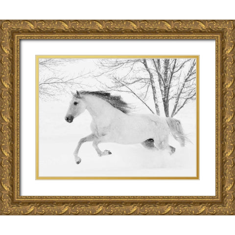 Running in the Snow Gold Ornate Wood Framed Art Print with Double Matting by Walker, Carol