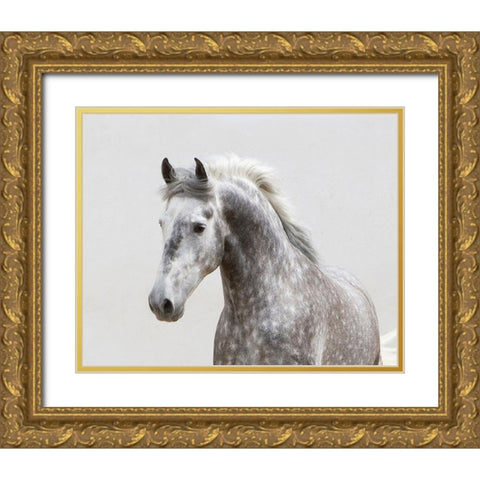 Grey Meadow Horse Gold Ornate Wood Framed Art Print with Double Matting by Walker, Carol