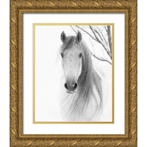 Facing Horse Gold Ornate Wood Framed Art Print with Double Matting by Walker, Carol