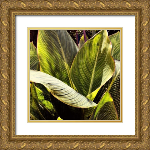 Plant Exploration I Gold Ornate Wood Framed Art Print with Double Matting by Navas, Emily