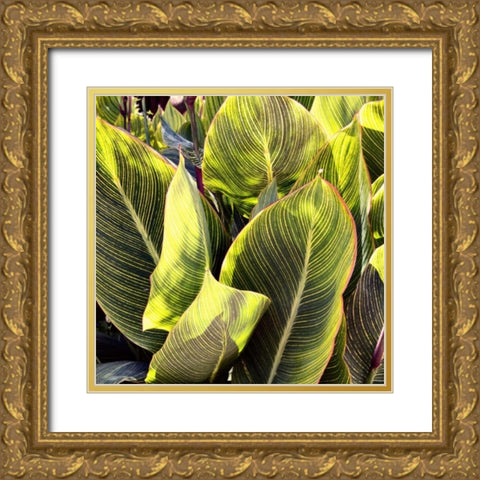 Plant Exploration II Gold Ornate Wood Framed Art Print with Double Matting by Navas, Emily