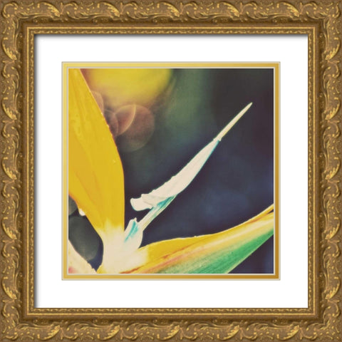 Tropical Floral I Gold Ornate Wood Framed Art Print with Double Matting by Peck, Gail