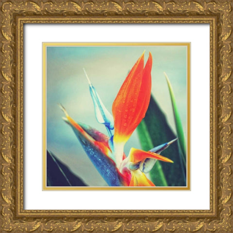 Tropical Floral II Gold Ornate Wood Framed Art Print with Double Matting by Peck, Gail