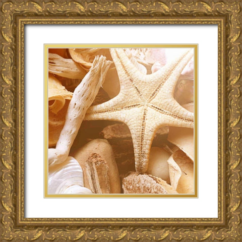 By the Seashore Square I Gold Ornate Wood Framed Art Print with Double Matting by Bryant, Susan
