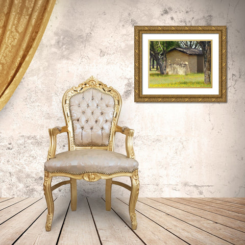 Country Meadow I Gold Ornate Wood Framed Art Print with Double Matting by Peck, Gail
