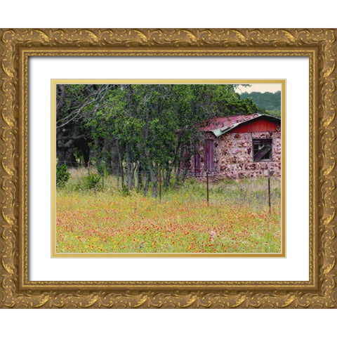 Country Meadow II Gold Ornate Wood Framed Art Print with Double Matting by Peck, Gail