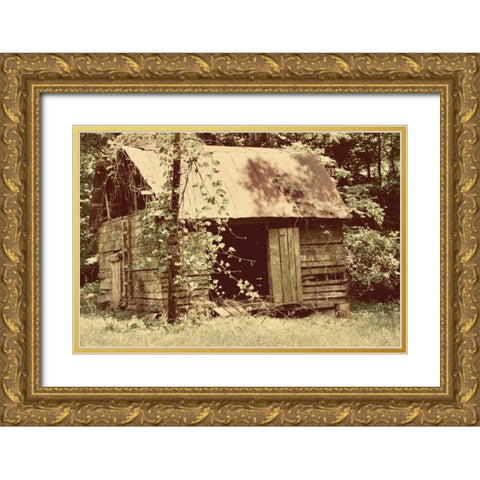 Homestead Gold Ornate Wood Framed Art Print with Double Matting by Peck, Gail