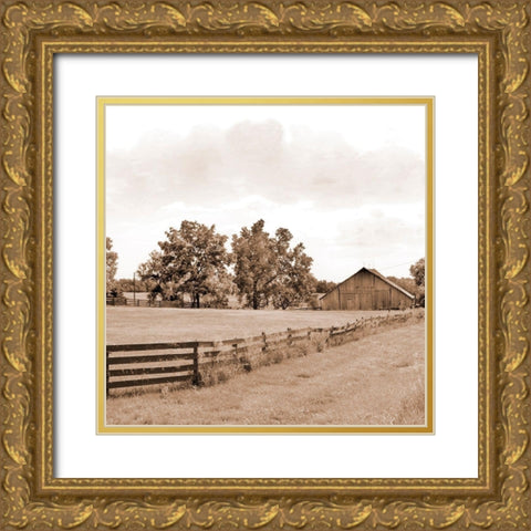 Simple Farm Life Gold Ornate Wood Framed Art Print with Double Matting by Mabat, Ynon