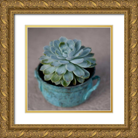 The Little Succulent Gold Ornate Wood Framed Art Print with Double Matting by Bryant, Susan