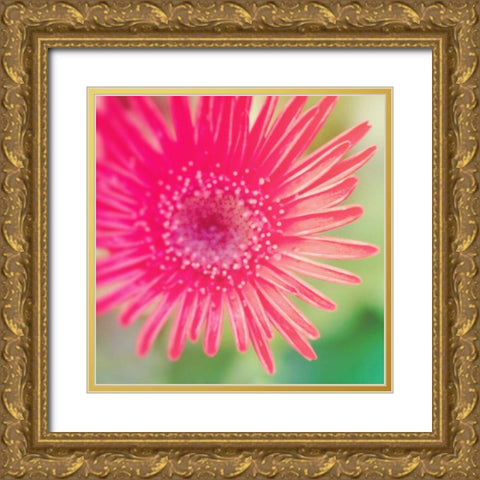 Pink Fun I Gold Ornate Wood Framed Art Print with Double Matting by Bryant, Susan