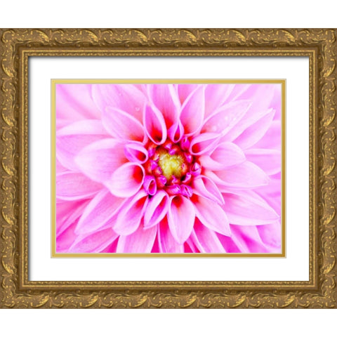 Pink Explosion I Gold Ornate Wood Framed Art Print with Double Matting by Bryant, Susan