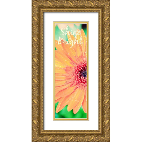 Shine Bright Daisy Gold Ornate Wood Framed Art Print with Double Matting by Bryant, Susan