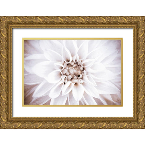 Bright White Bloom II Gold Ornate Wood Framed Art Print with Double Matting by Bryant, Susan