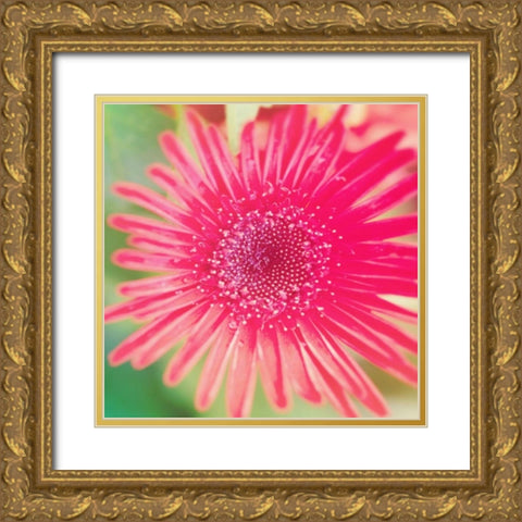 Pink Fun II Gold Ornate Wood Framed Art Print with Double Matting by Bryant, Susan