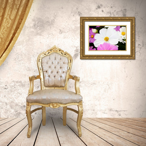 Daisies II Gold Ornate Wood Framed Art Print with Double Matting by Bryant, Susan